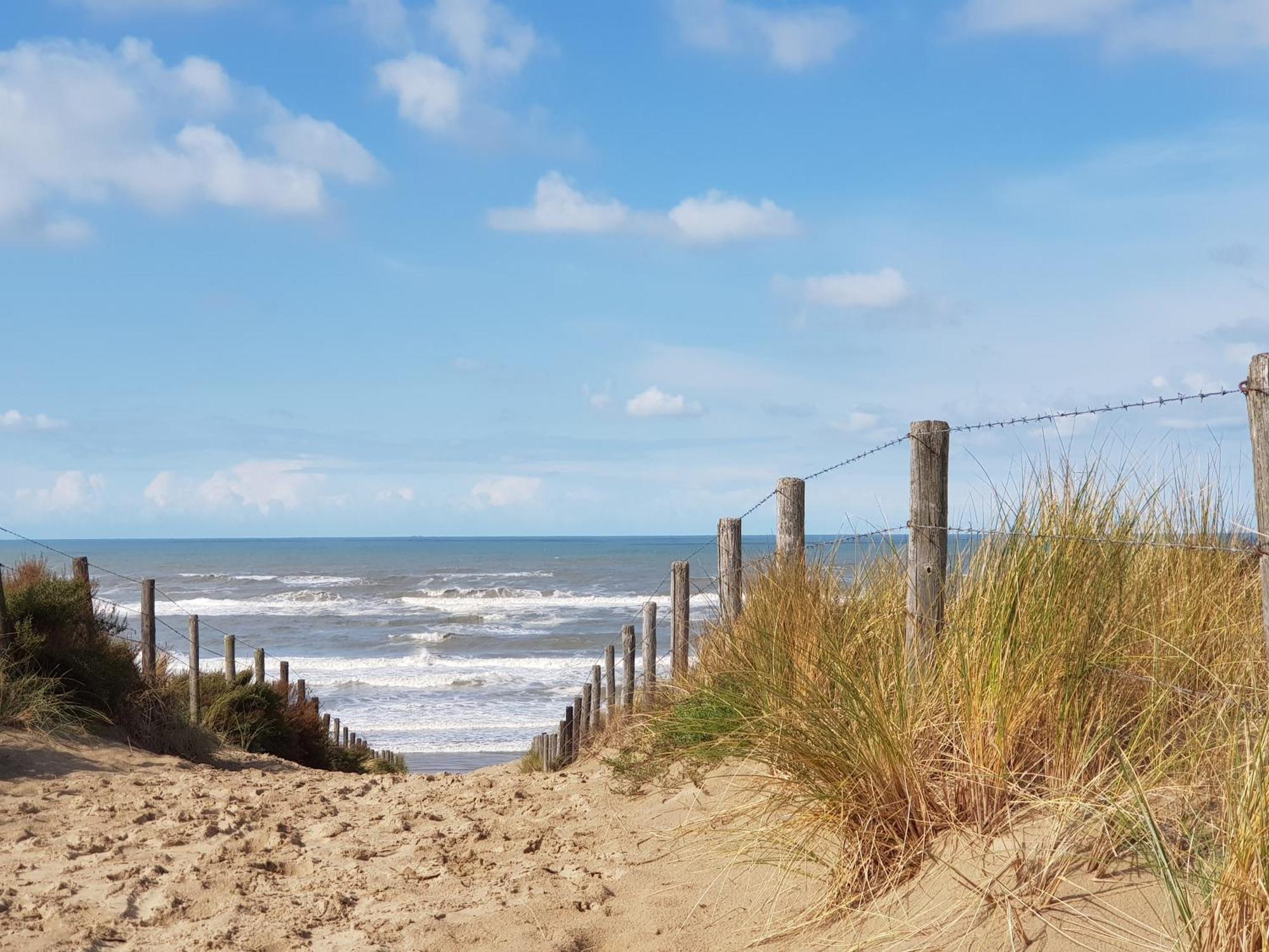 Hotel B&B Seahorse Katwijk aan Zee Exteriör bild