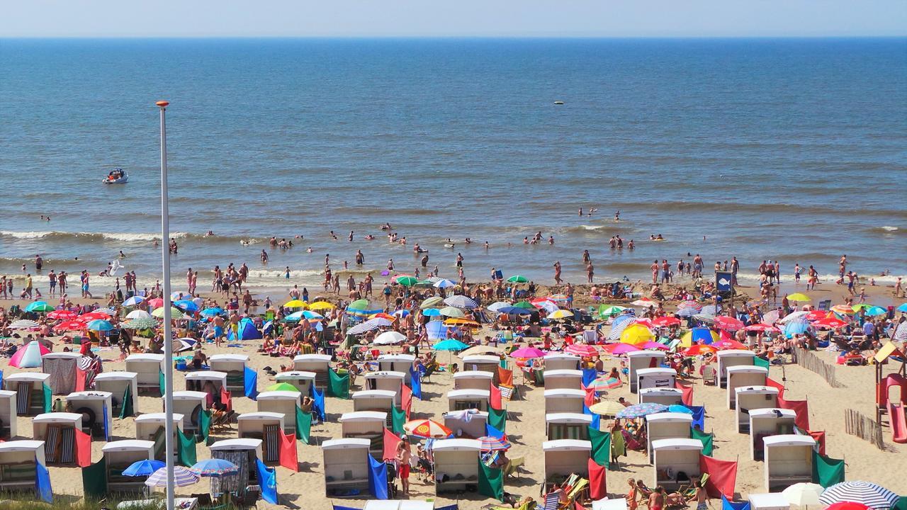 Hotel B&B Seahorse Katwijk aan Zee Exteriör bild